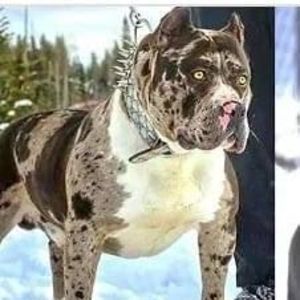 Meet your Posher, Garrett